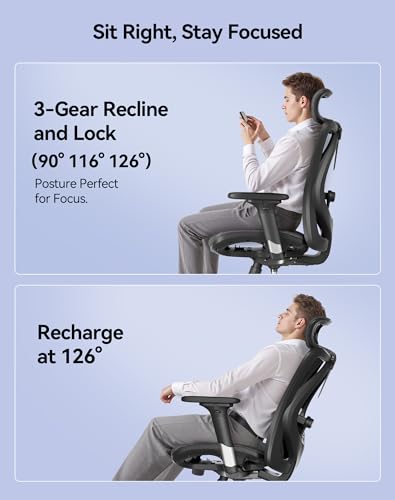 SIHOO Ergonomic Mesh Office Chair, Computer Desk Chair with 3-Way Armrests, 2-Way Lumbar Support and Adjustable Headrest, High Back Home Office Chair with Tilt Function, Mesh Back and Seat