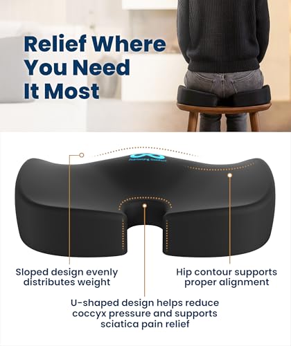 Everlasting Comfort Doctor Recommended Memory Foam Seat Cushion for Office Chairs & Car - Ergonomic Office Desk Accessories - Cushions for Tailbone Pain Relief, Sciatica (Onyx, Large)