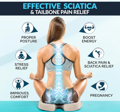 ComfiLife Doctor Recommended Seat Cushion - Premium Gel & Memory Foam Office Chair, Car Seat, Lifting Cushion - Chair Cushions for Back & Sciatica Relief - Seat Cushions for Office & Desk