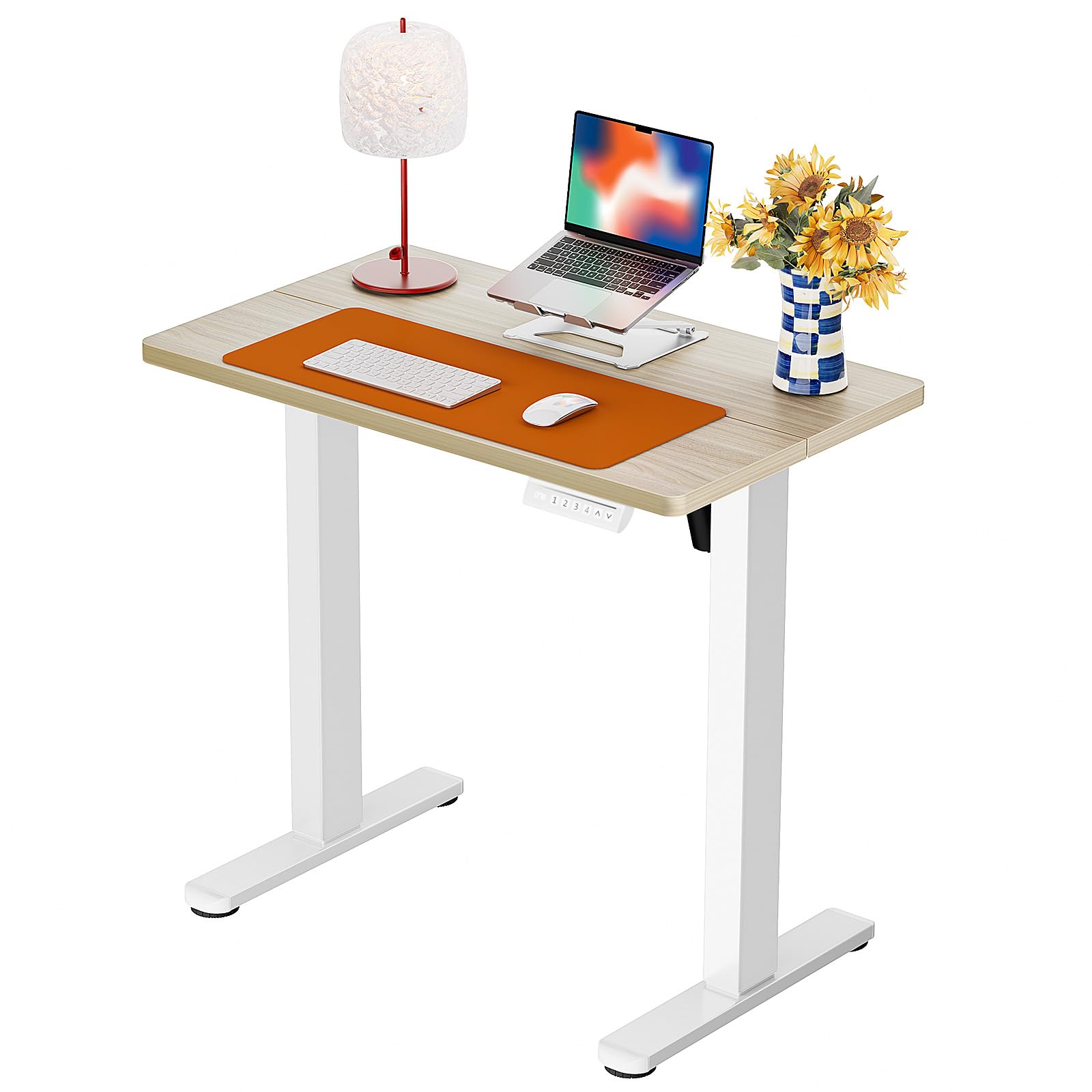 ErGear Height Adjustable Electric Standing Desk, Sit Stand up Desk, Memory Computer Home Office Desk