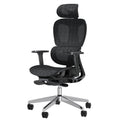 PatioMage Ergonomic Mesh Office Chair with 3D Adjustable Armrest,High Back Desk Computer Chair Ergo3d Ergonomic with Wheels for Home & Office Black