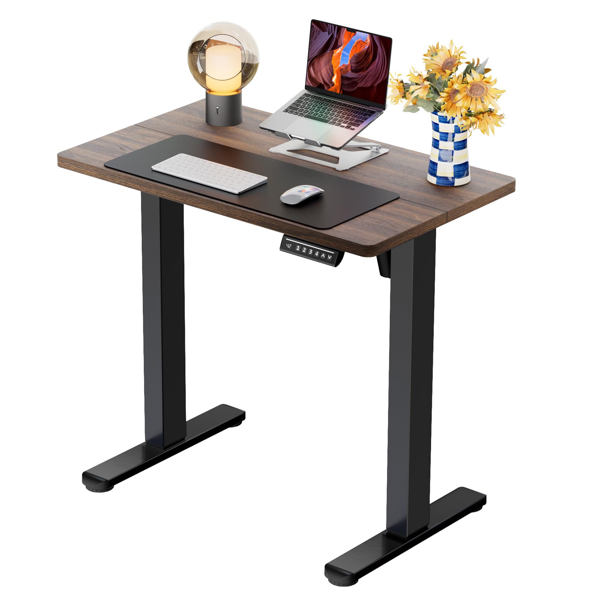 ErGear Height Adjustable Electric Standing Desk, Sit Stand up Desk, Memory Computer Home Office Desk