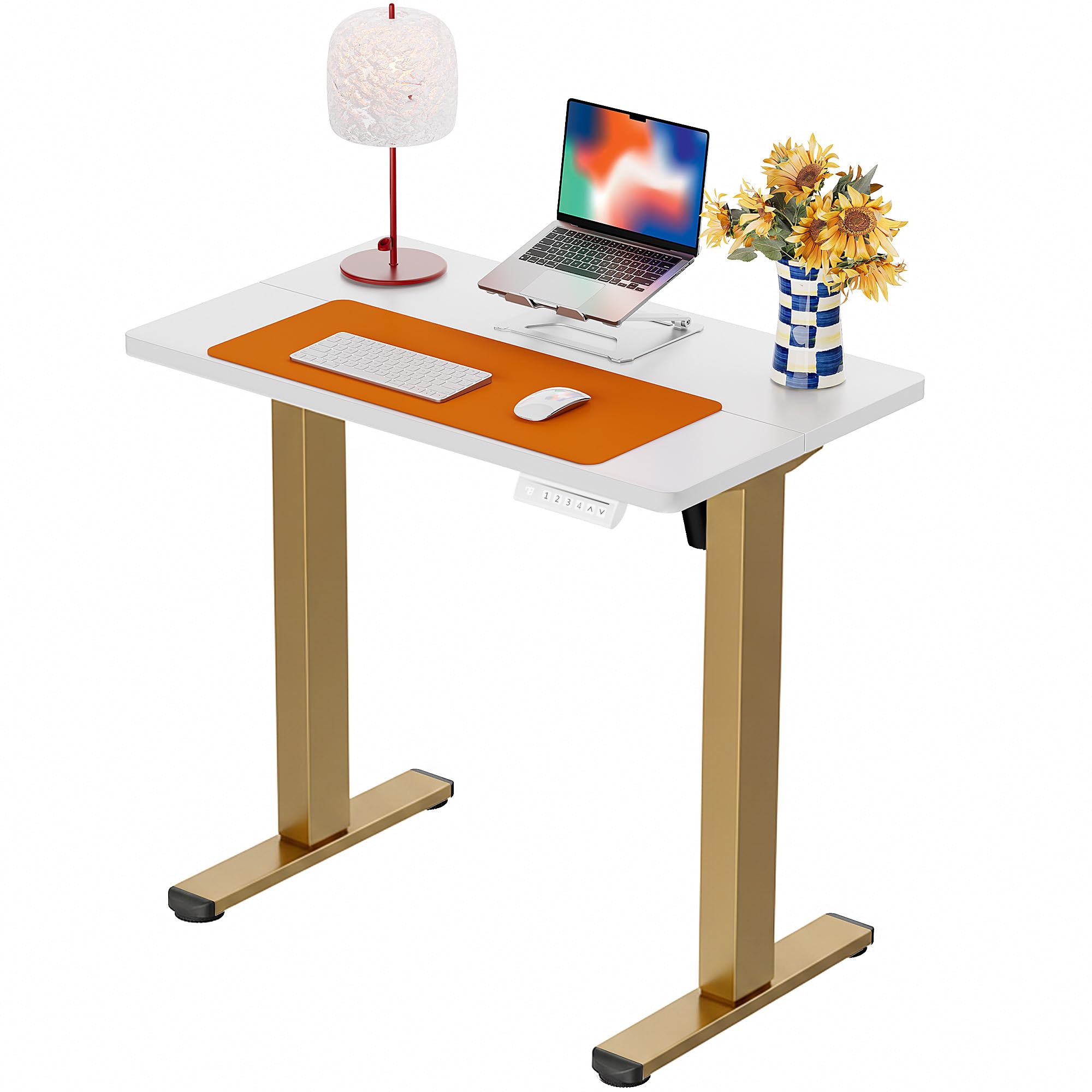 ErGear Height Adjustable Electric Standing Desk, Sit Stand up Desk, Memory Computer Home Office Desk