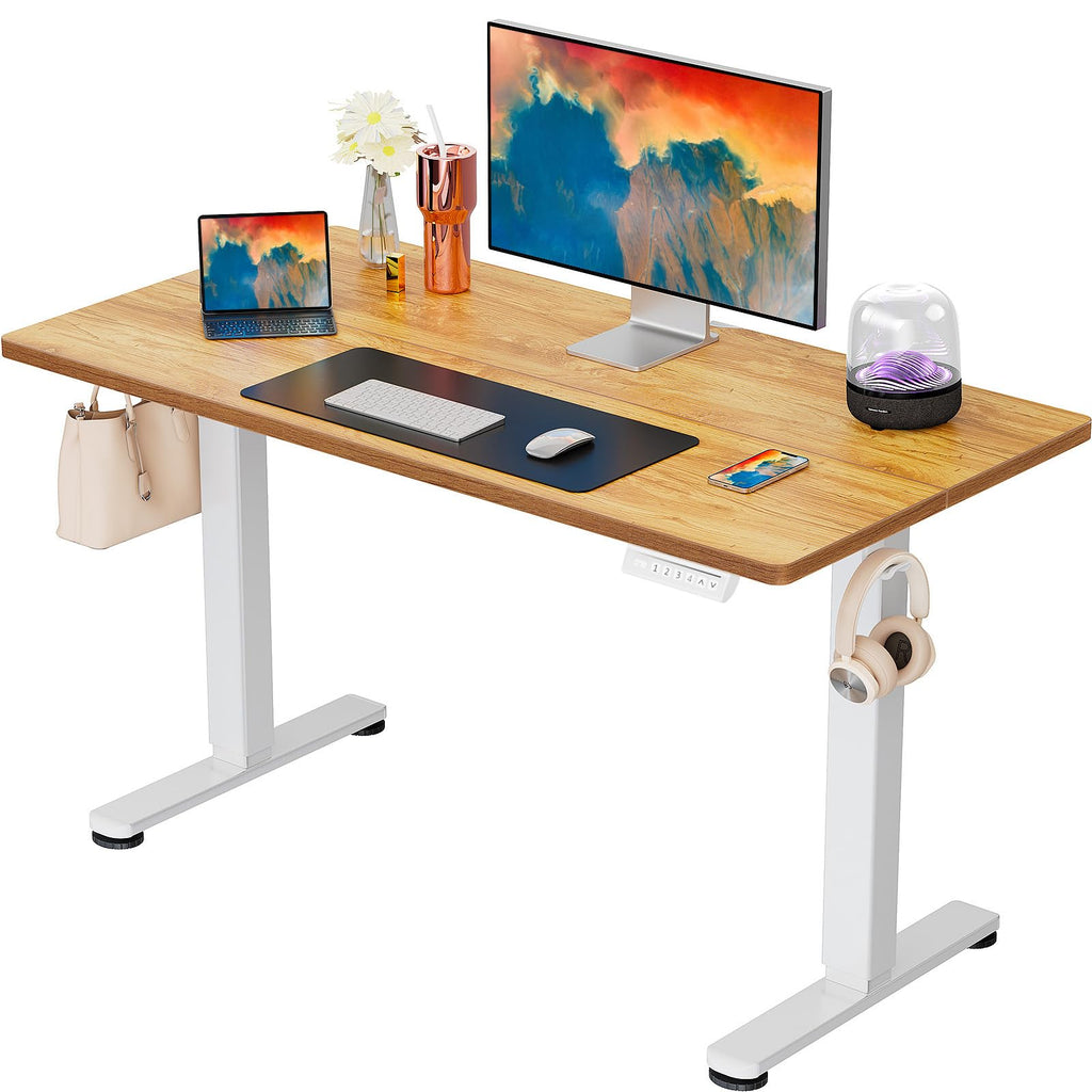 ErGear Height Adjustable Electric Standing Desk, Sit Stand up Desk, Memory Computer Home Office Desk