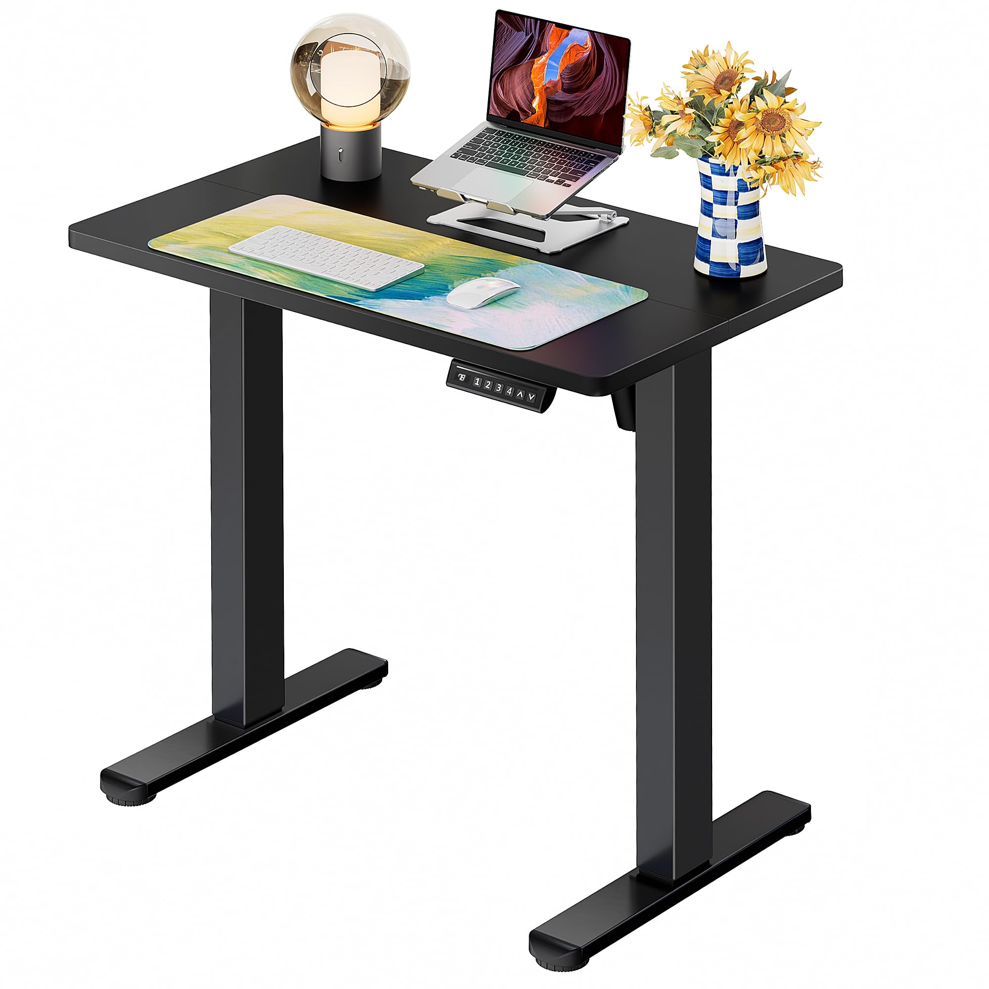 ErGear Height Adjustable Electric Standing Desk, Sit Stand up Desk, Memory Computer Home Office Desk