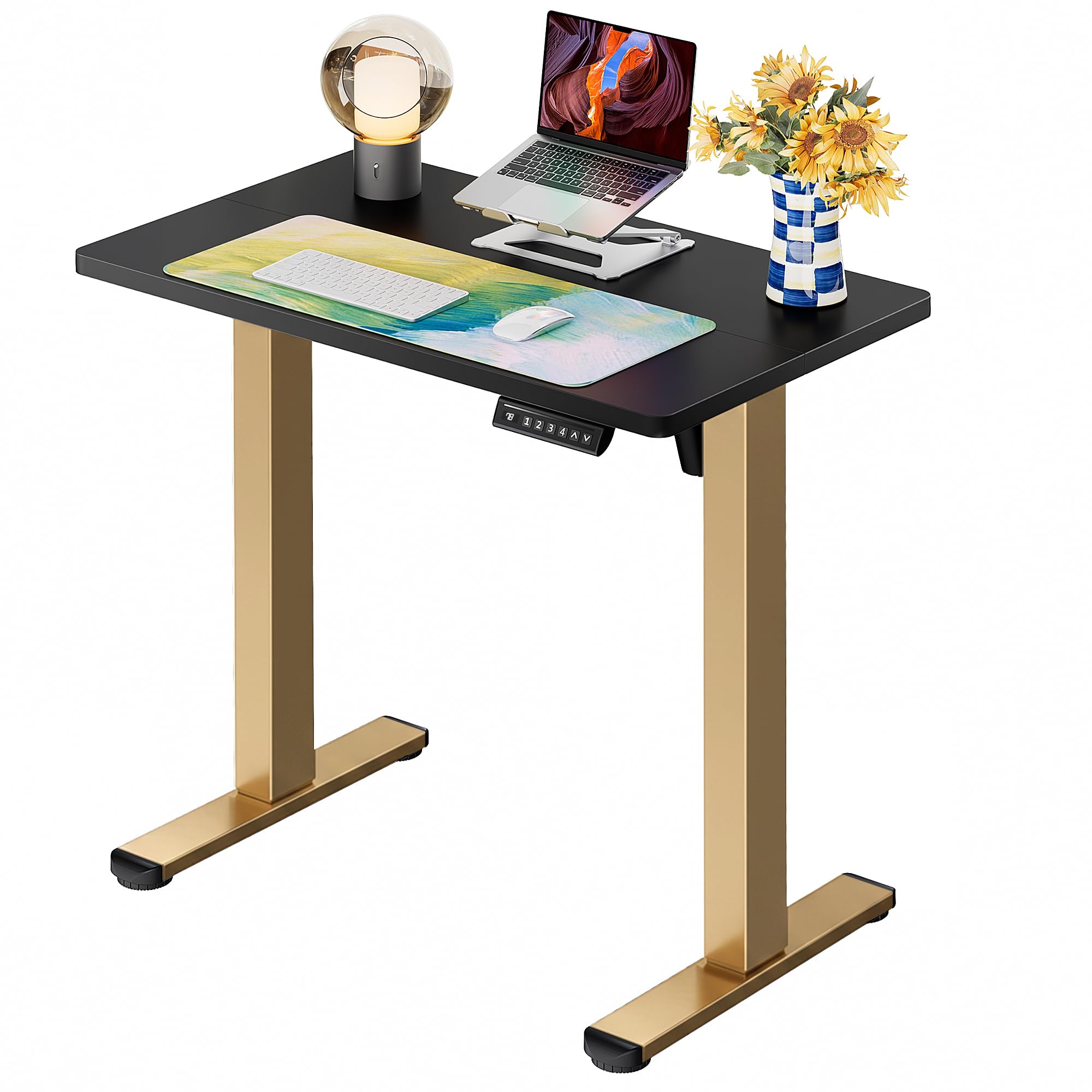 ErGear Height Adjustable Electric Standing Desk, Sit Stand up Desk, Memory Computer Home Office Desk