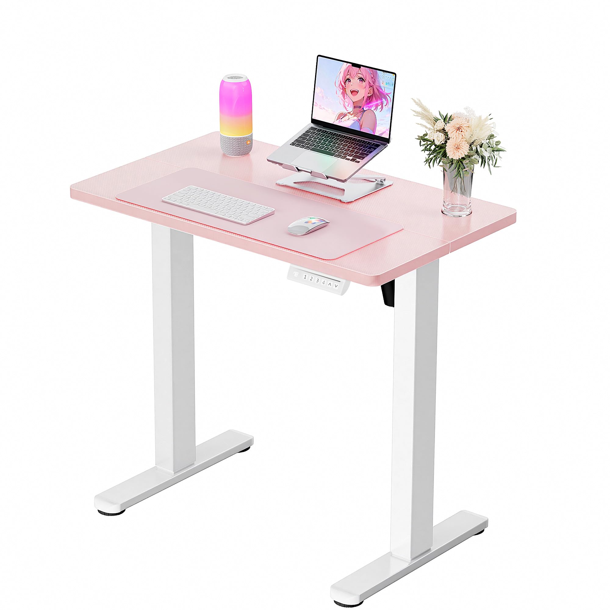 ErGear Height Adjustable Electric Standing Desk, Sit Stand up Desk, Memory Computer Home Office Desk