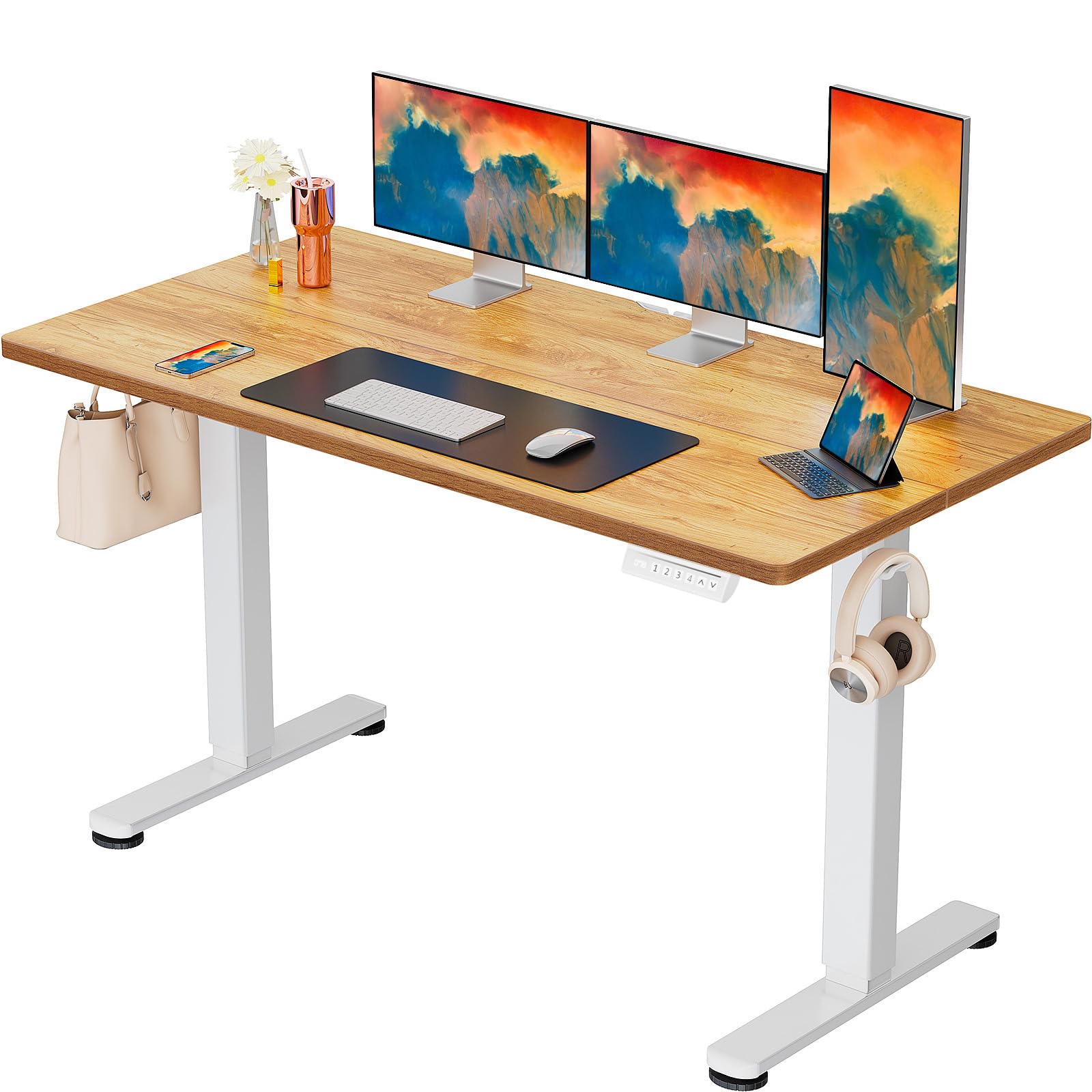 ErGear Height Adjustable Electric Standing Desk, Sit Stand up Desk, Memory Computer Home Office Desk