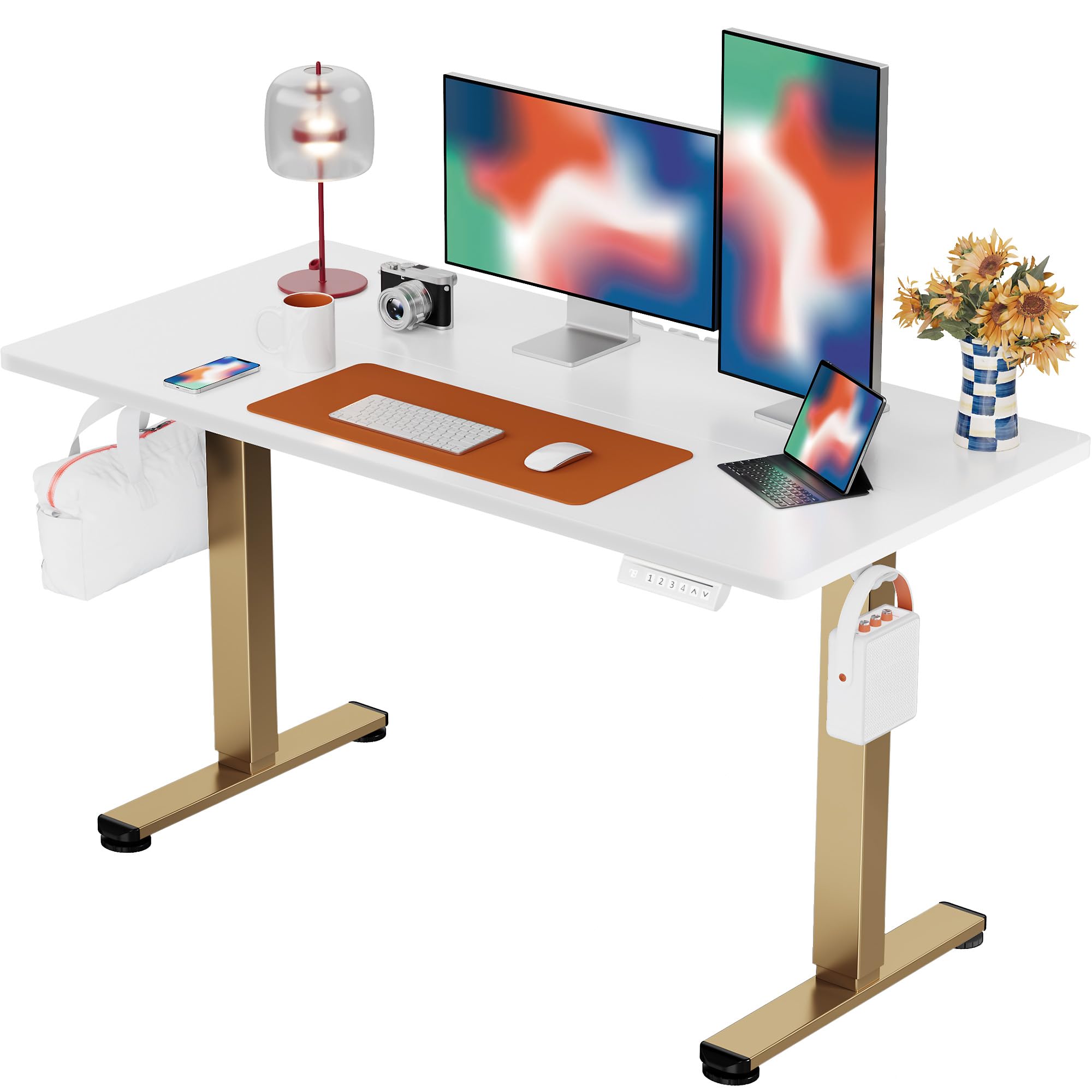 ErGear Height Adjustable Electric Standing Desk, Sit Stand up Desk, Memory Computer Home Office Desk