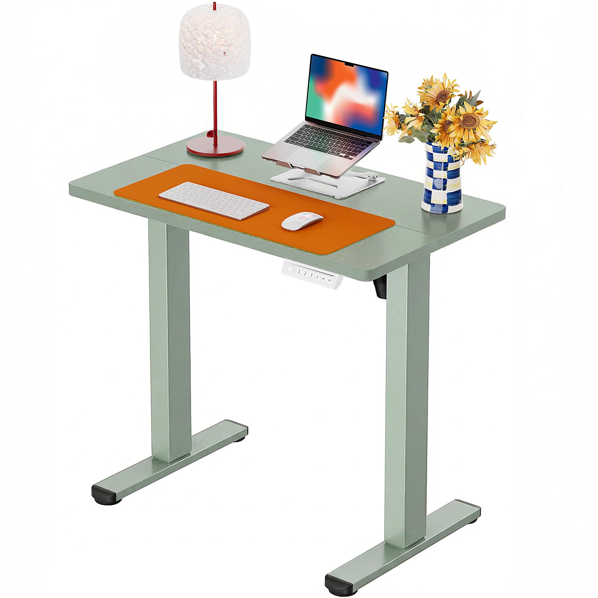 ErGear Height Adjustable Electric Standing Desk, Sit Stand up Desk, Memory Computer Home Office Desk