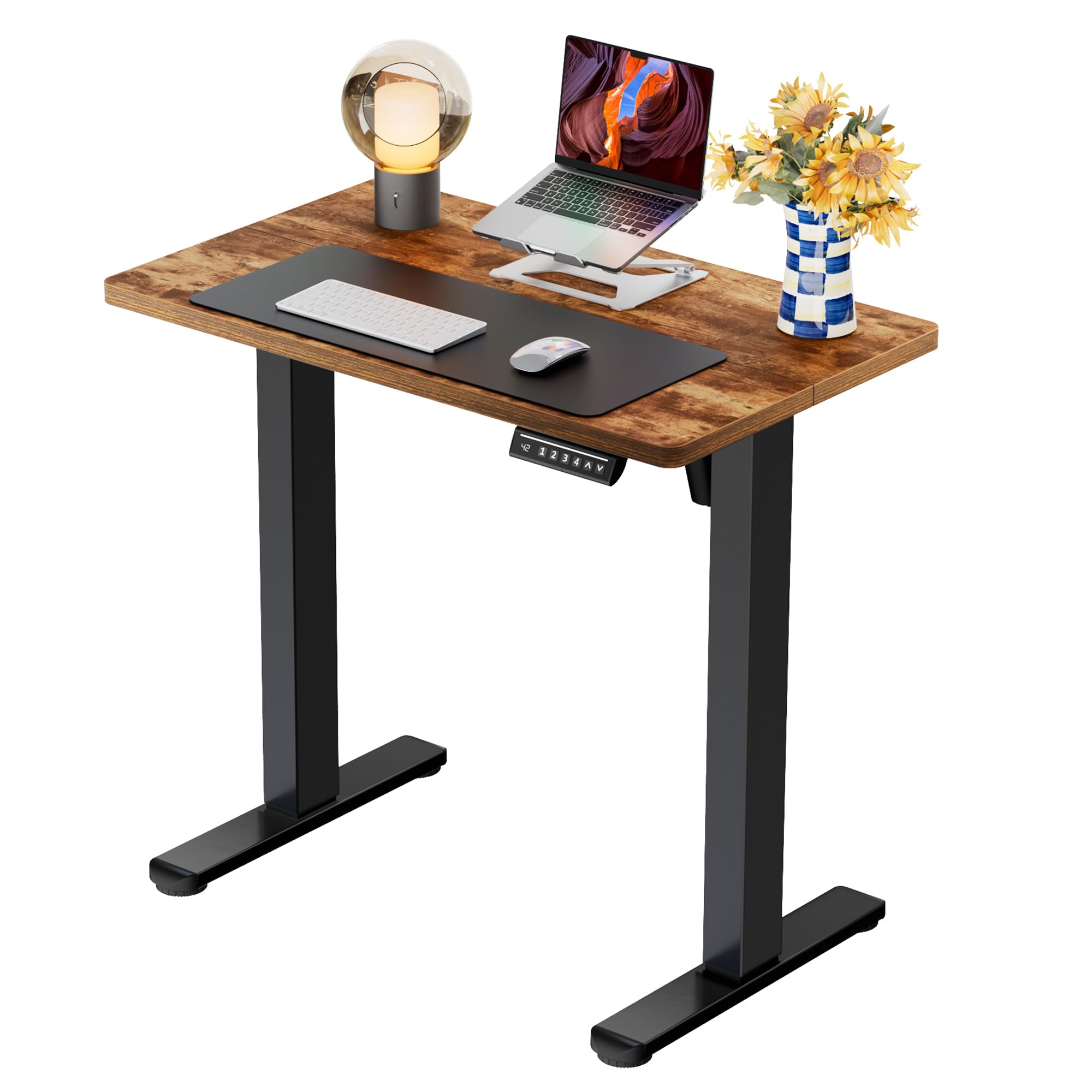 ErGear Height Adjustable Electric Standing Desk, Sit Stand up Desk, Memory Computer Home Office Desk