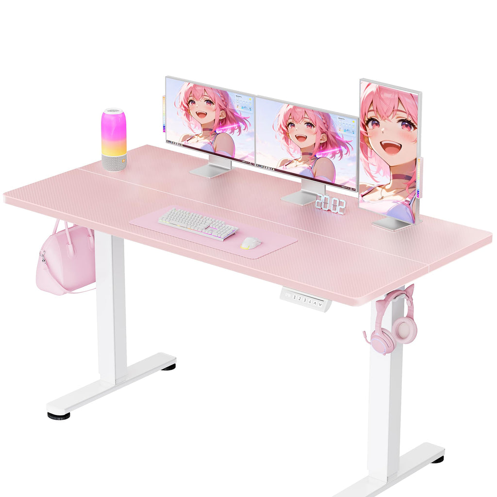ErGear Height Adjustable Electric Standing Desk, Sit Stand up Desk, Memory Computer Home Office Desk