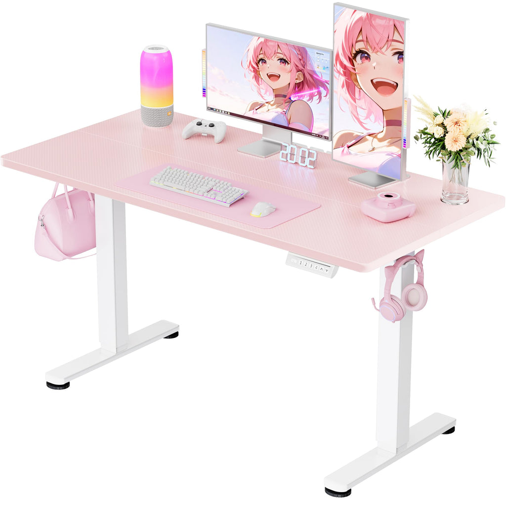 ErGear Height Adjustable Electric Standing Desk, Sit Stand up Desk, Memory Computer Home Office Desk