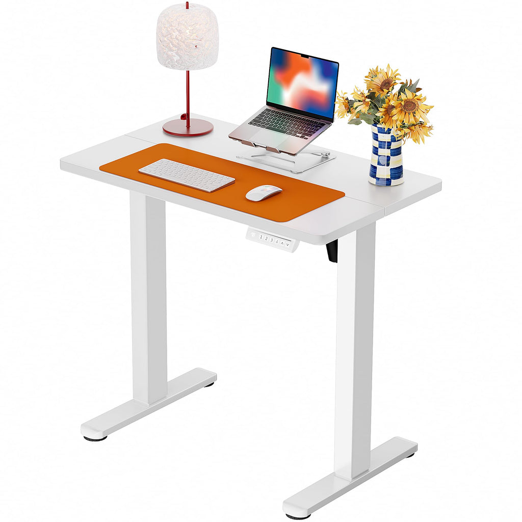 ErGear Height Adjustable Electric Standing Desk, Sit Stand up Desk, Memory Computer Home Office Desk