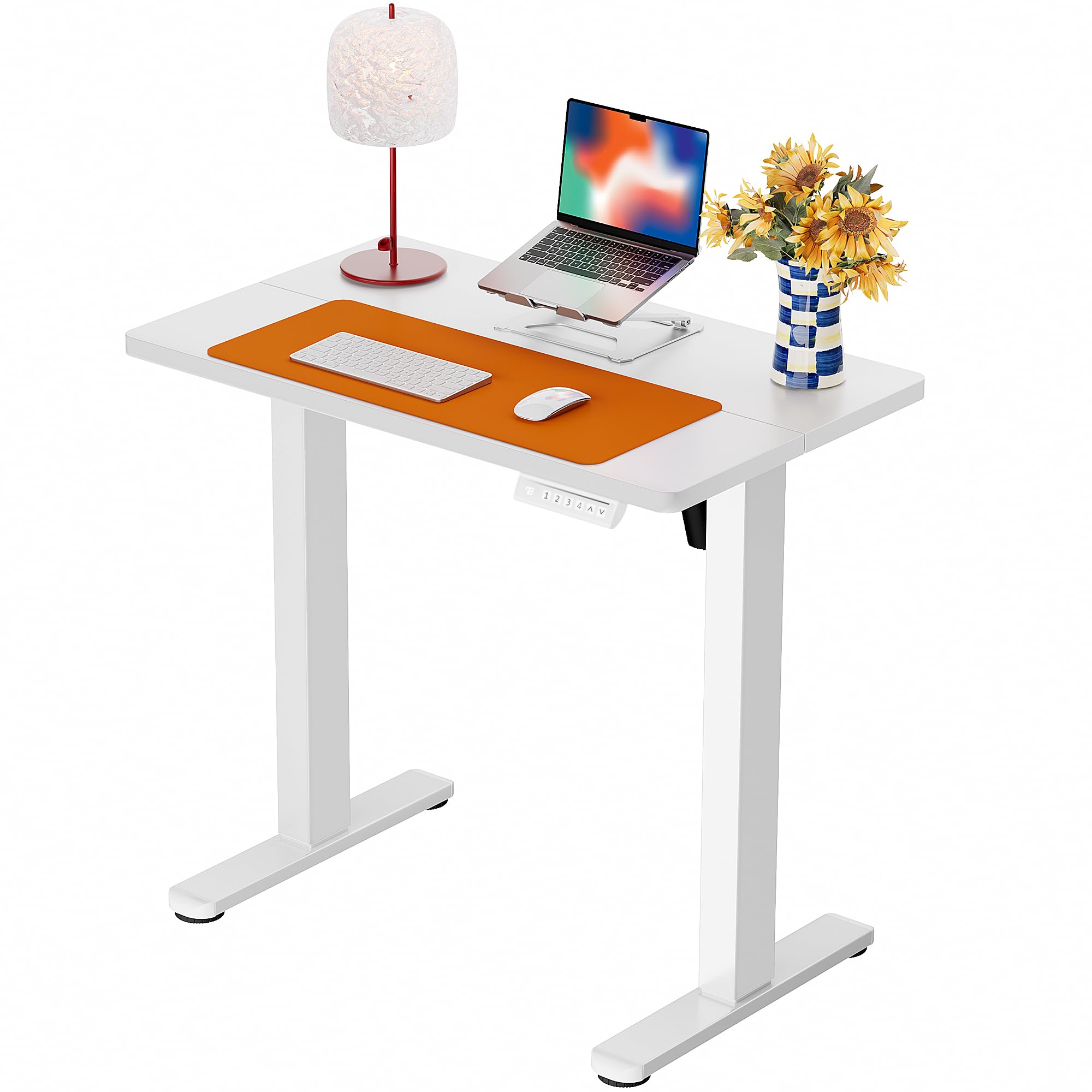ErGear Height Adjustable Electric Standing Desk, Sit Stand up Desk, Memory Computer Home Office Desk
