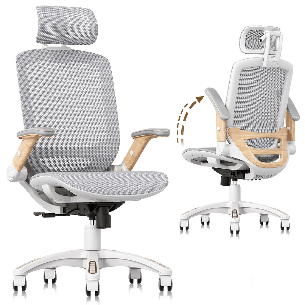 GABRYLLY Office Chair GY01