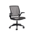 Humanscale Diffrient World Home Office Desk Chair, Quick Ship Configuration