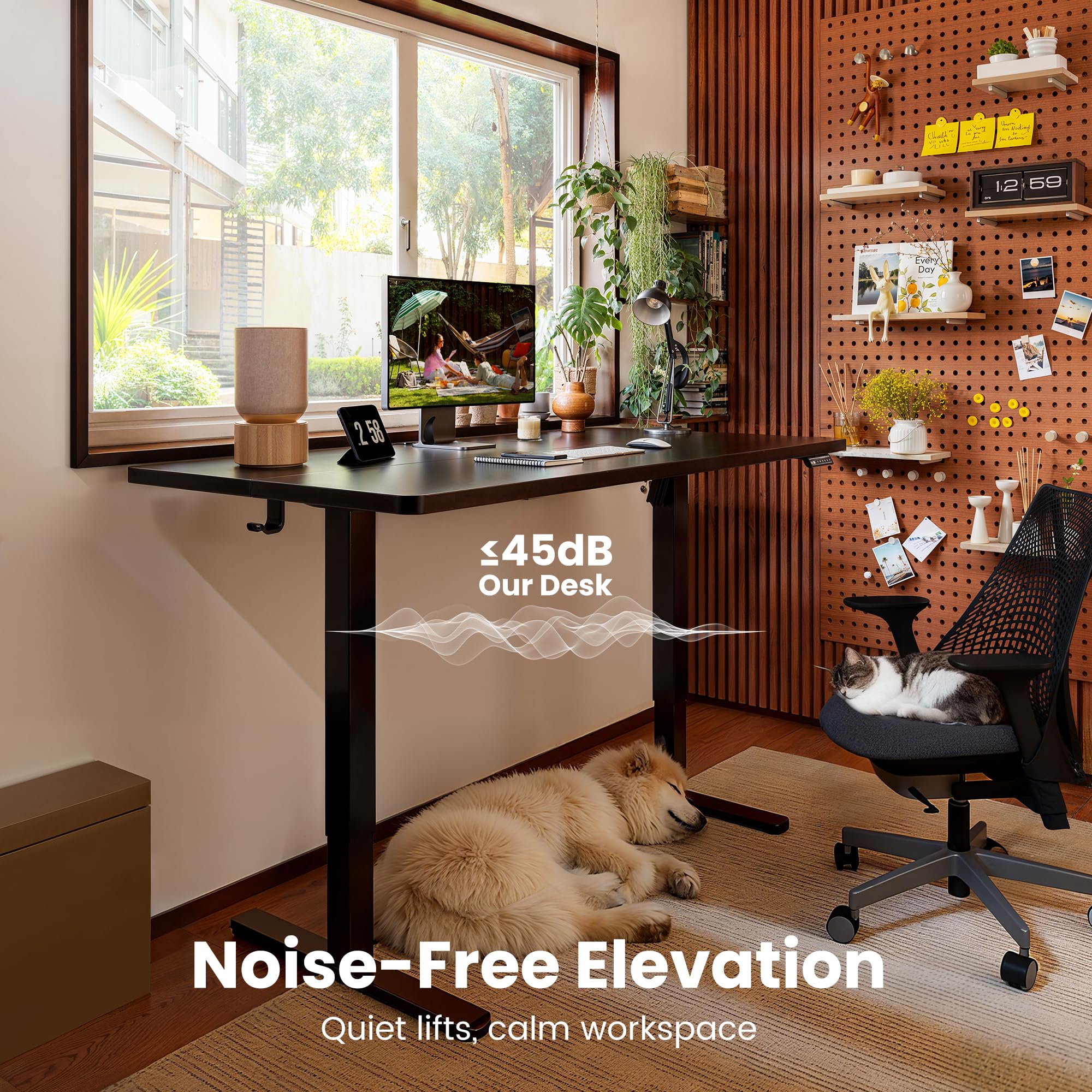 ErGear Height Adjustable Electric Standing Desk, Sit Stand up Desk, Memory Computer Home Office Desk