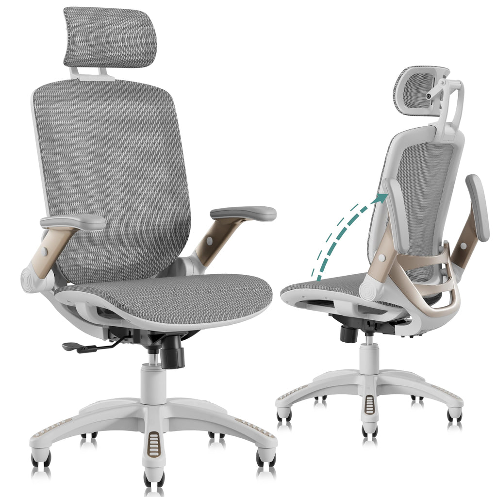 GABRYLLY Office Chair GY01